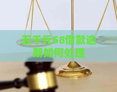 五千元58借款逾期如何处理