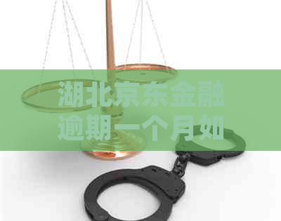 湖北京东金融逾期一个月如何处理