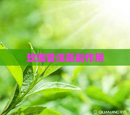 玫瑰普洱茶副作用