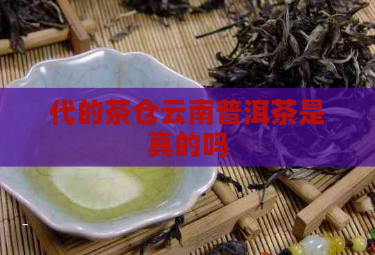 代的茶仓云南普洱茶是真的吗