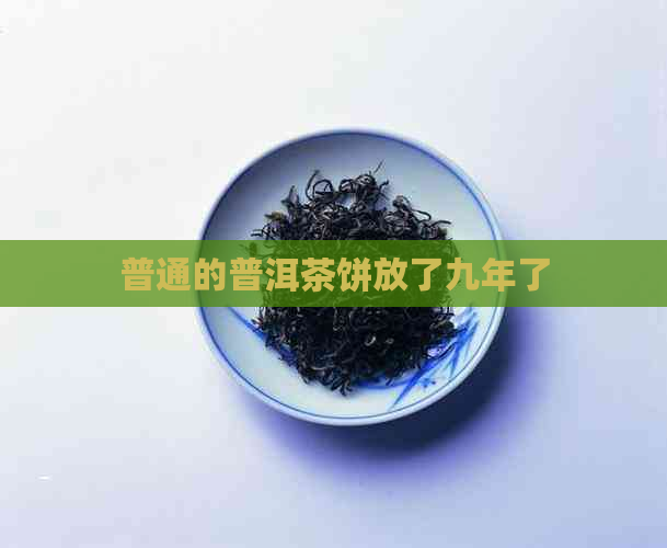 普通的普洱茶饼放了九年了