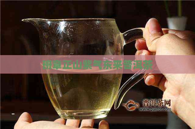 班章正山紫气东来普洱茶