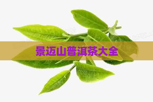 景迈山普洱茶大全