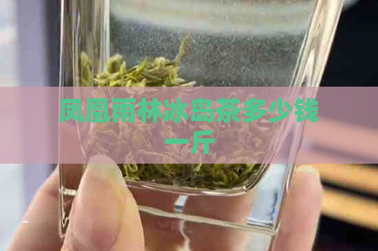 凤凰雨林冰岛茶多少钱一斤