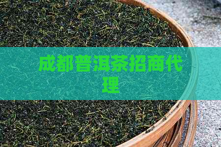 成都普洱茶招商代理