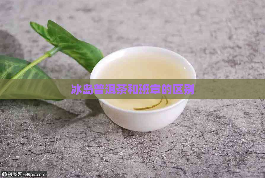 冰岛普洱茶和班章的区别