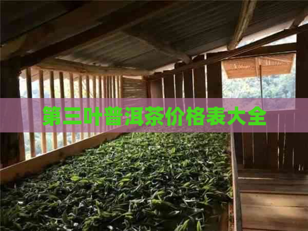 第三叶普洱茶价格表大全