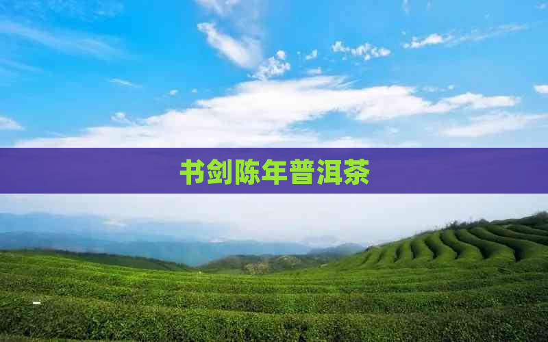 书剑陈年普洱茶