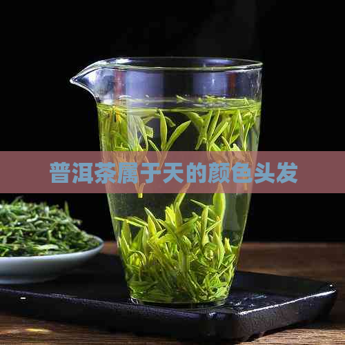 普洱茶属于天的颜色头发