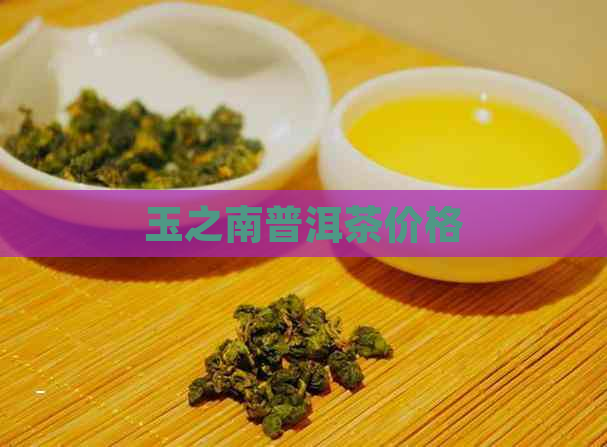 玉之南普洱茶价格