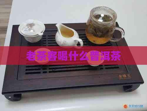 老茶客喝什么普洱茶