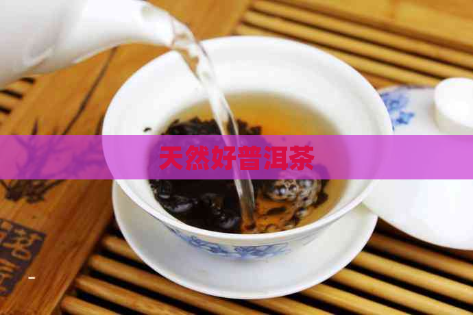 天然好普洱茶