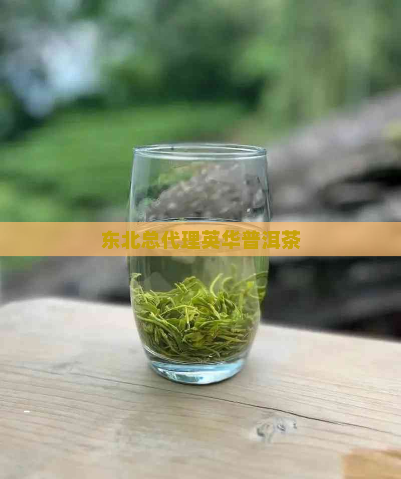 东北总代理英华普洱茶