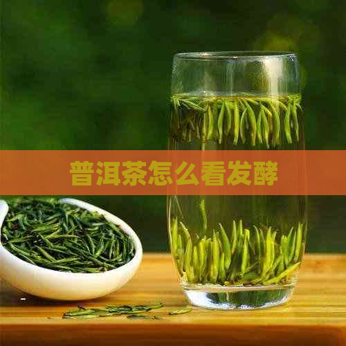 普洱茶怎么看发酵