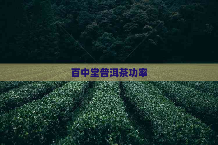 百中堂普洱茶功率