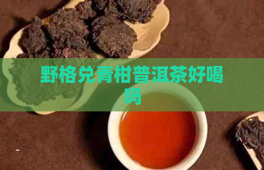 野格兑青柑普洱茶好喝吗