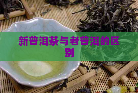 新普洱茶与老普洱的区别