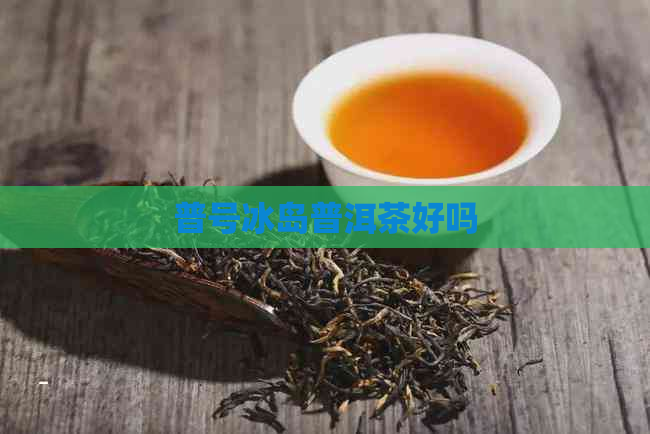 普号冰岛普洱茶好吗