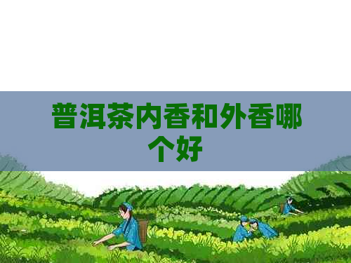 普洱茶内香和外香哪个好