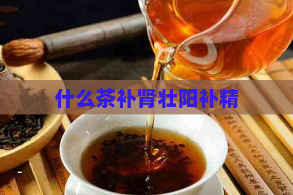 什么茶补肾壮阳补精