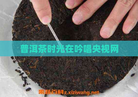 普洱茶时光在吟唱央视网