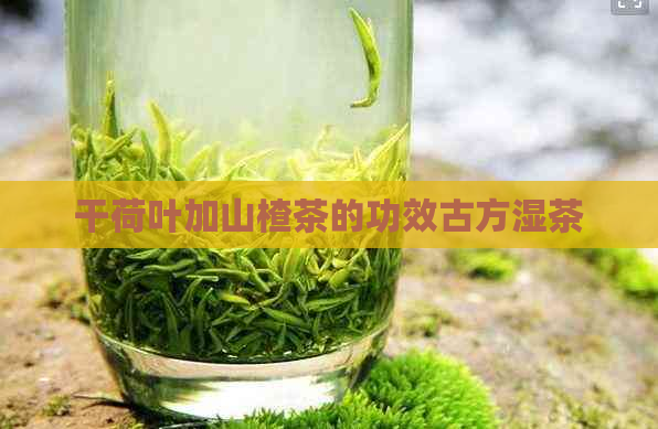 干荷叶加山楂茶的功效古方湿茶