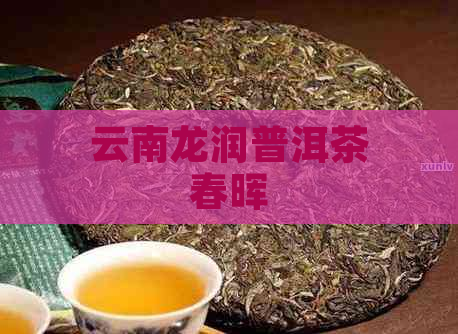 云南龙润普洱茶春晖