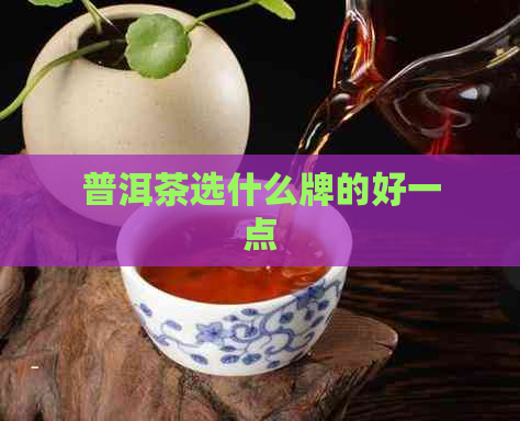 普洱茶选什么牌的好一点