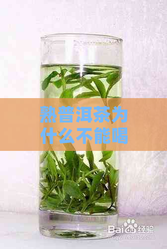 熟普洱茶为什么不能喝