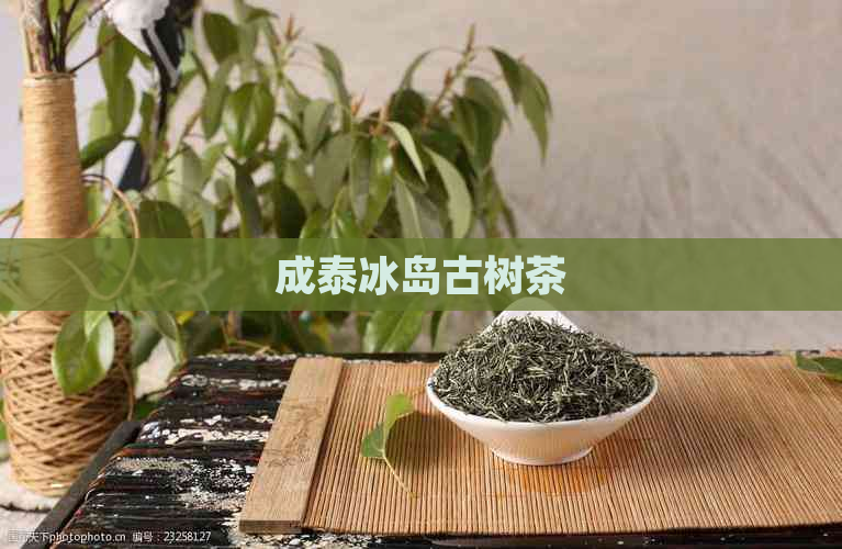 成泰冰岛古树茶