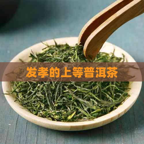 发孝的上等普洱茶