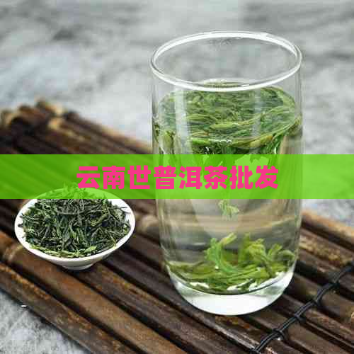 云南世普洱茶批发