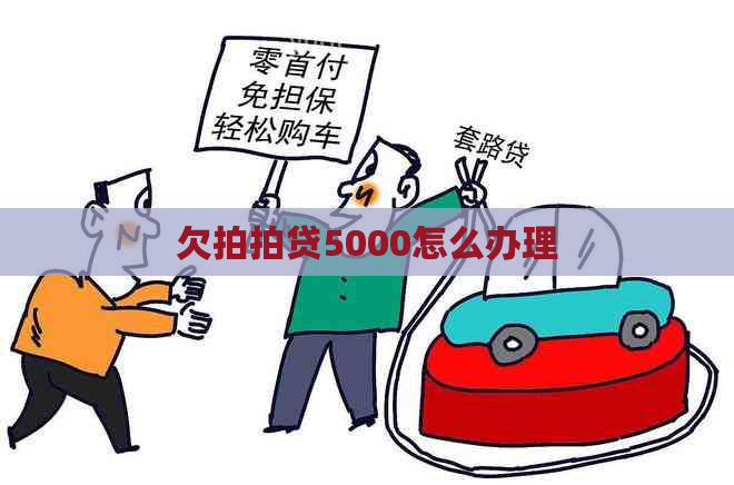 欠5000怎么办理