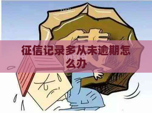 记录多从未逾期怎么办