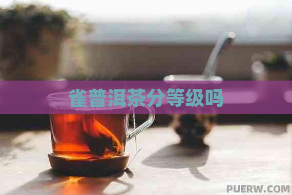 雀普洱茶分等级吗