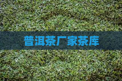 普洱茶厂家茶库