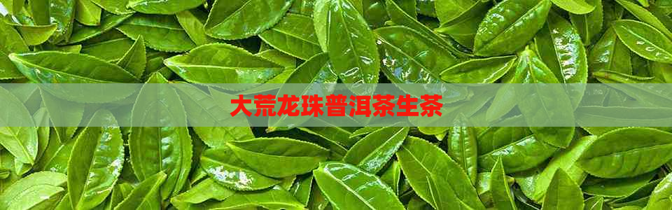 大荒龙珠普洱茶生茶