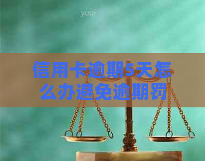 信用卡逾期5天怎么办避免逾期罚款