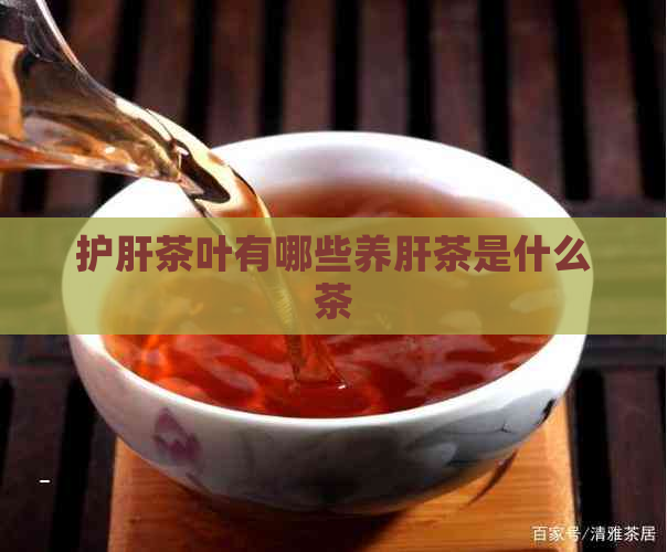 护肝茶叶有哪些养肝茶是什么茶