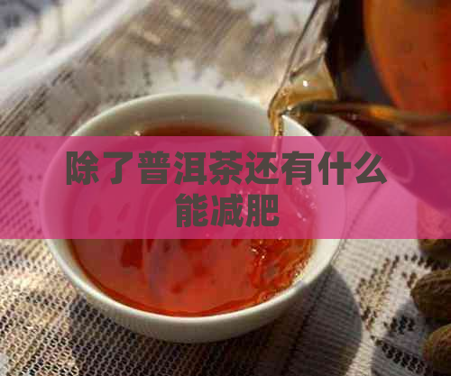 除了普洱茶还有什么能减肥