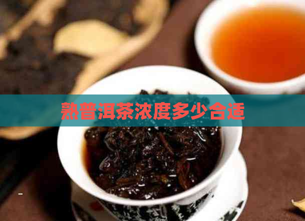 熟普洱茶浓度多少合适