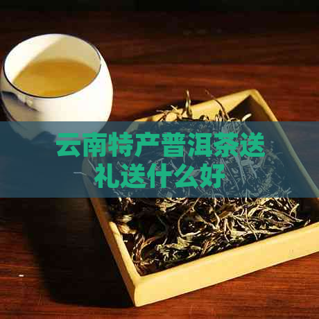 云南特产普洱茶送礼送什么好