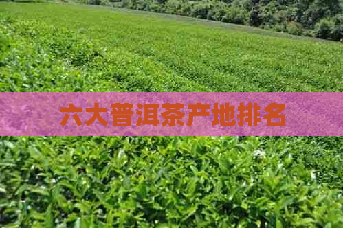 六大普洱茶产地排名