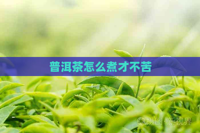 普洱茶怎么煮才不苦