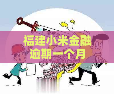 福建小米金融逾期一个月