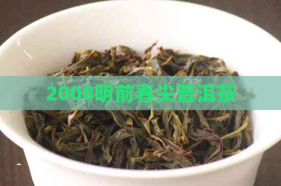 2008明前春尖普洱茶