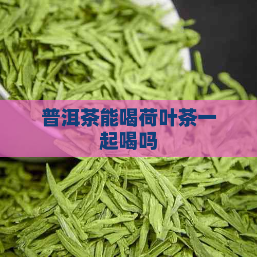 普洱茶能喝荷叶茶一起喝吗