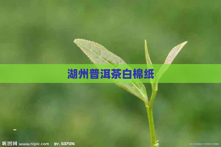 湖州普洱茶白棉纸