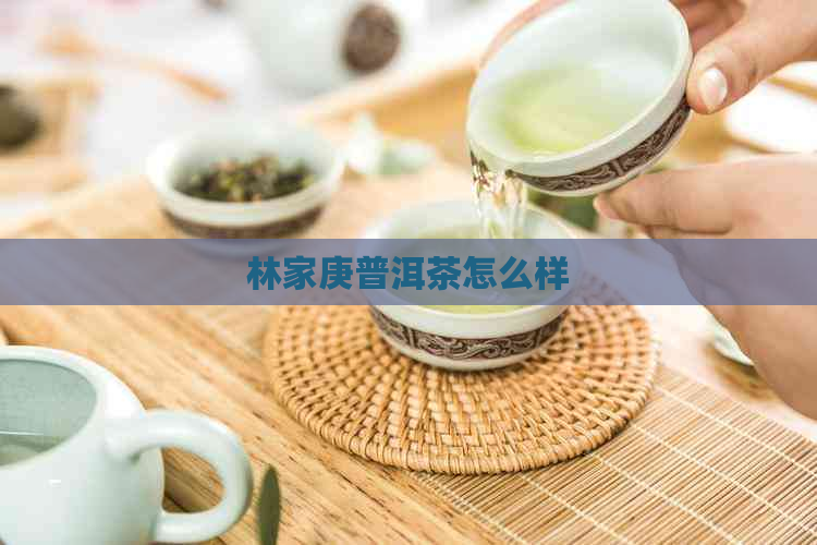 林家庚普洱茶怎么样