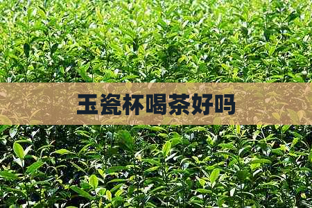 玉瓷杯喝茶好吗